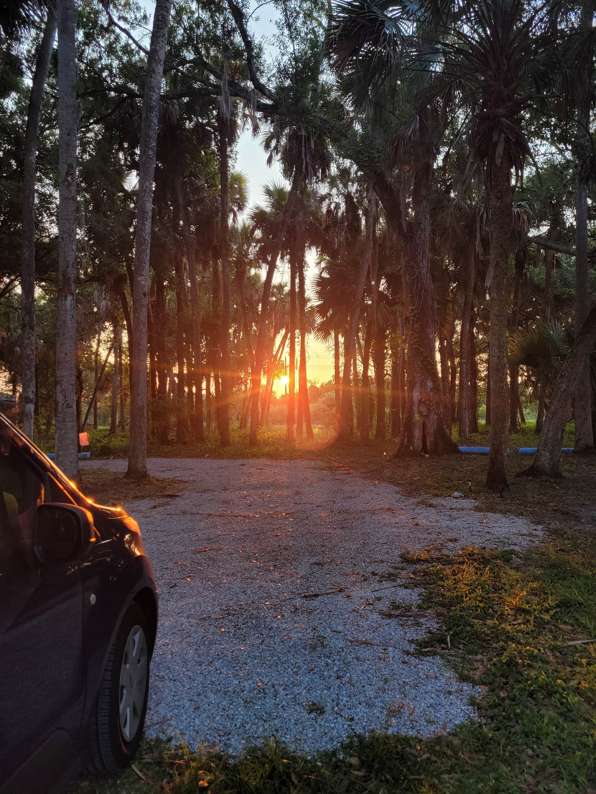 Taste of Old Florida
