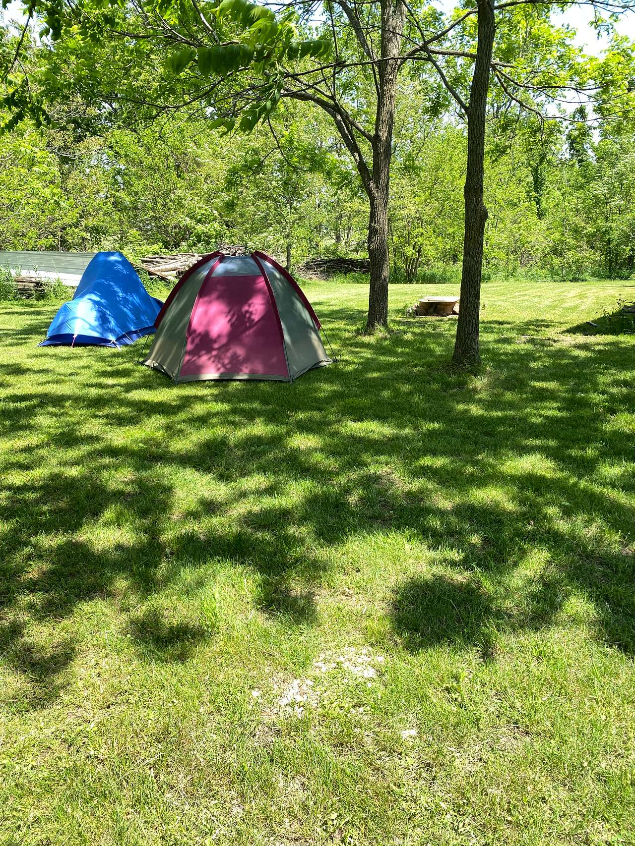 Carlandia CannaCamp