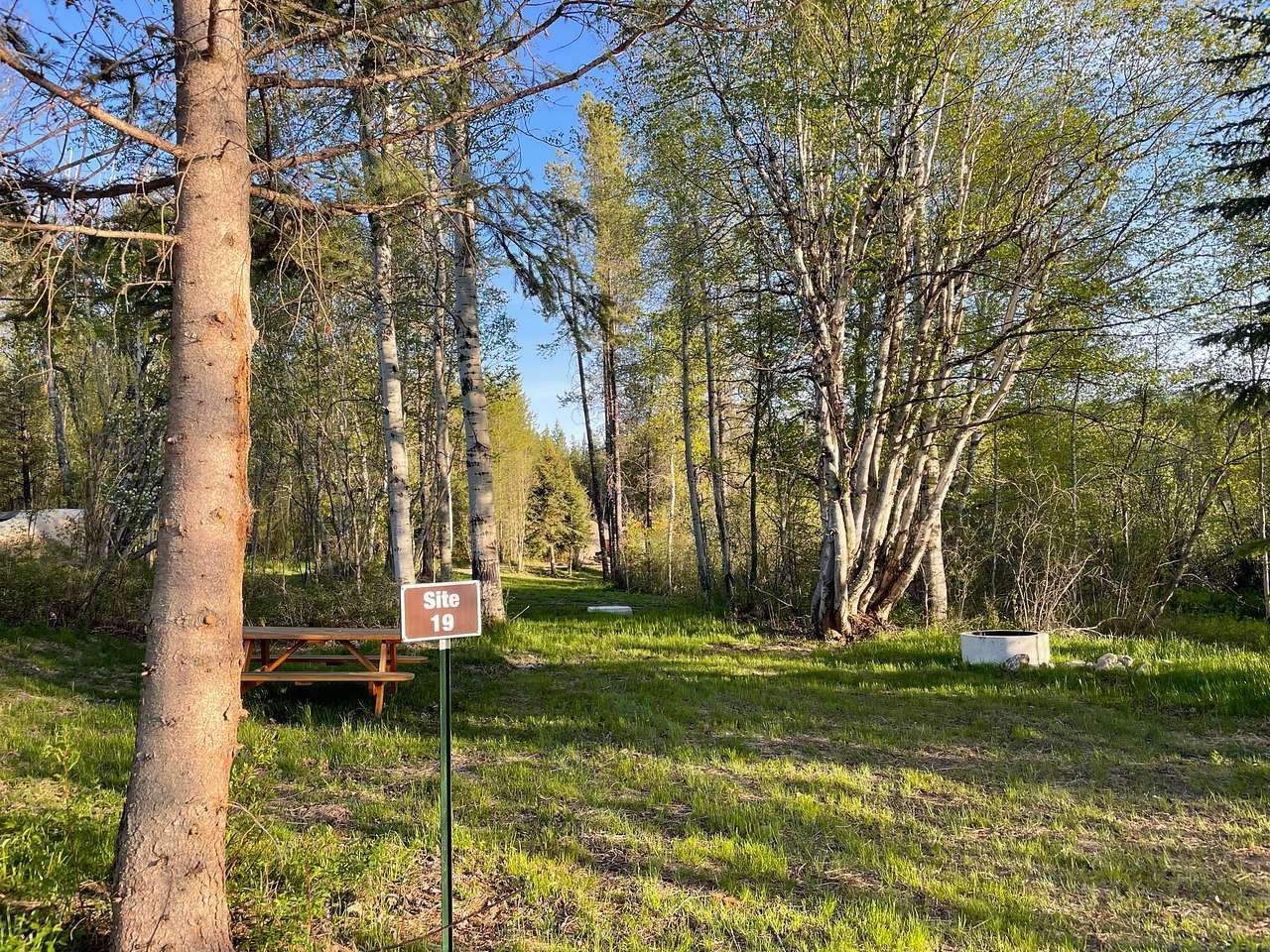Site 19