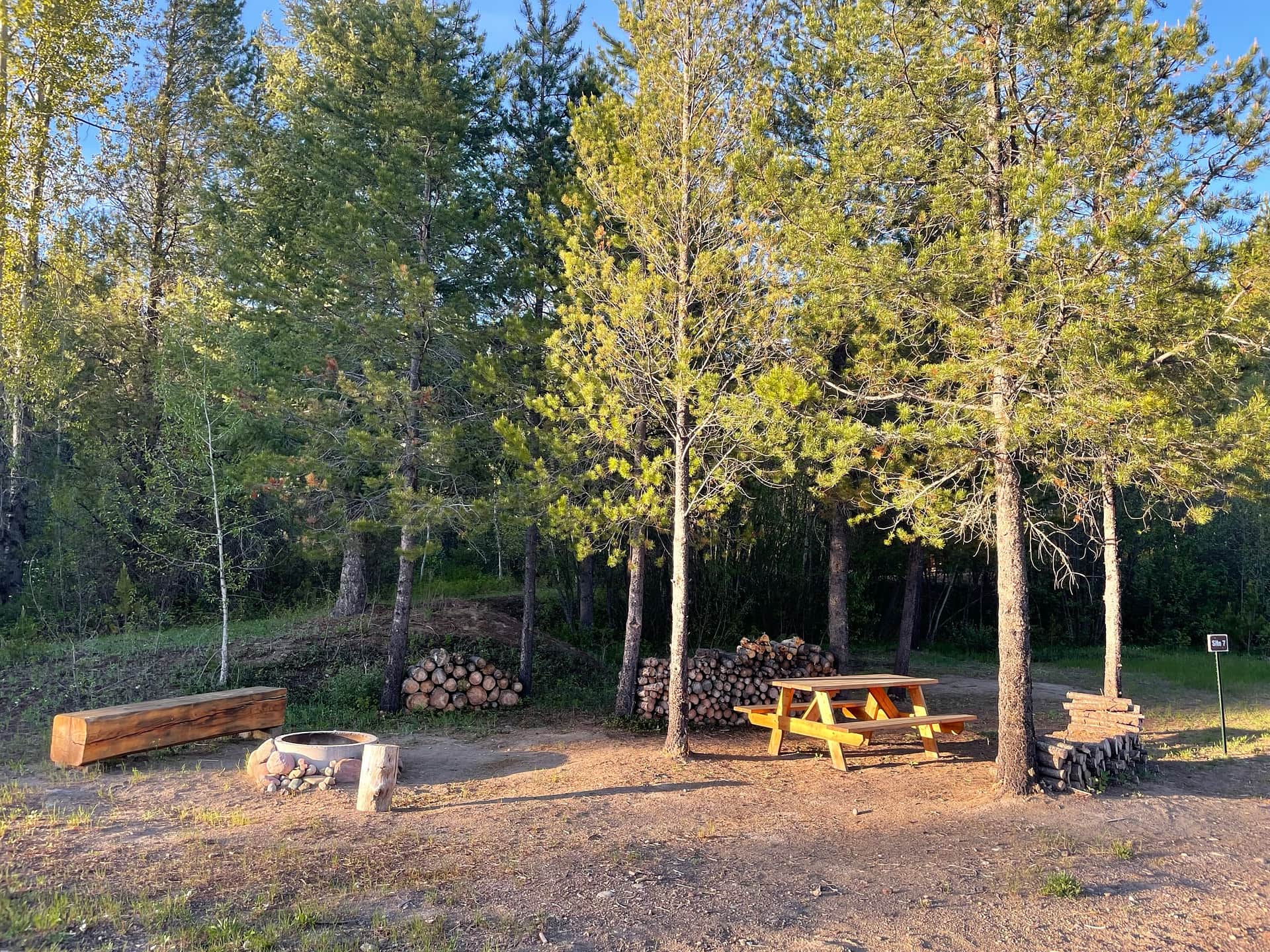 Site 7