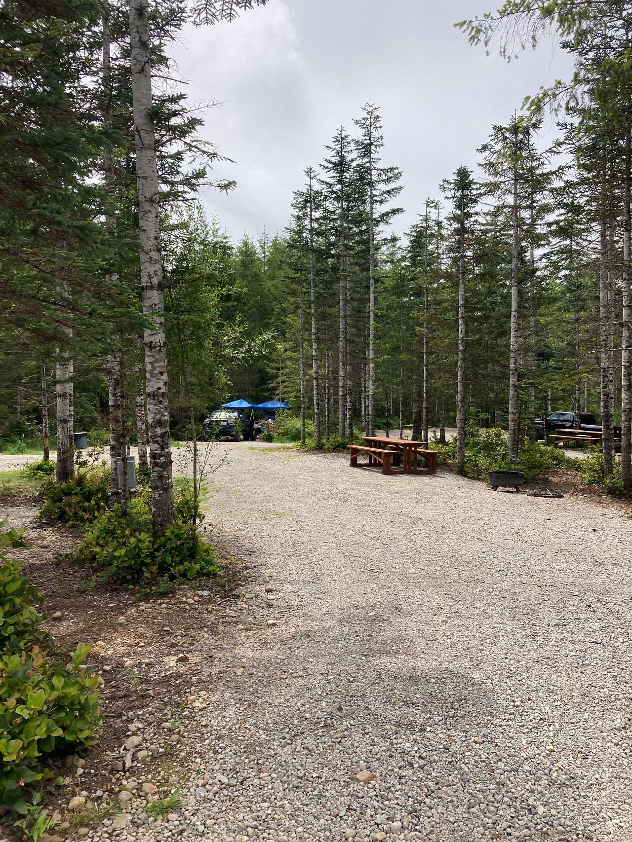 Picture of the site