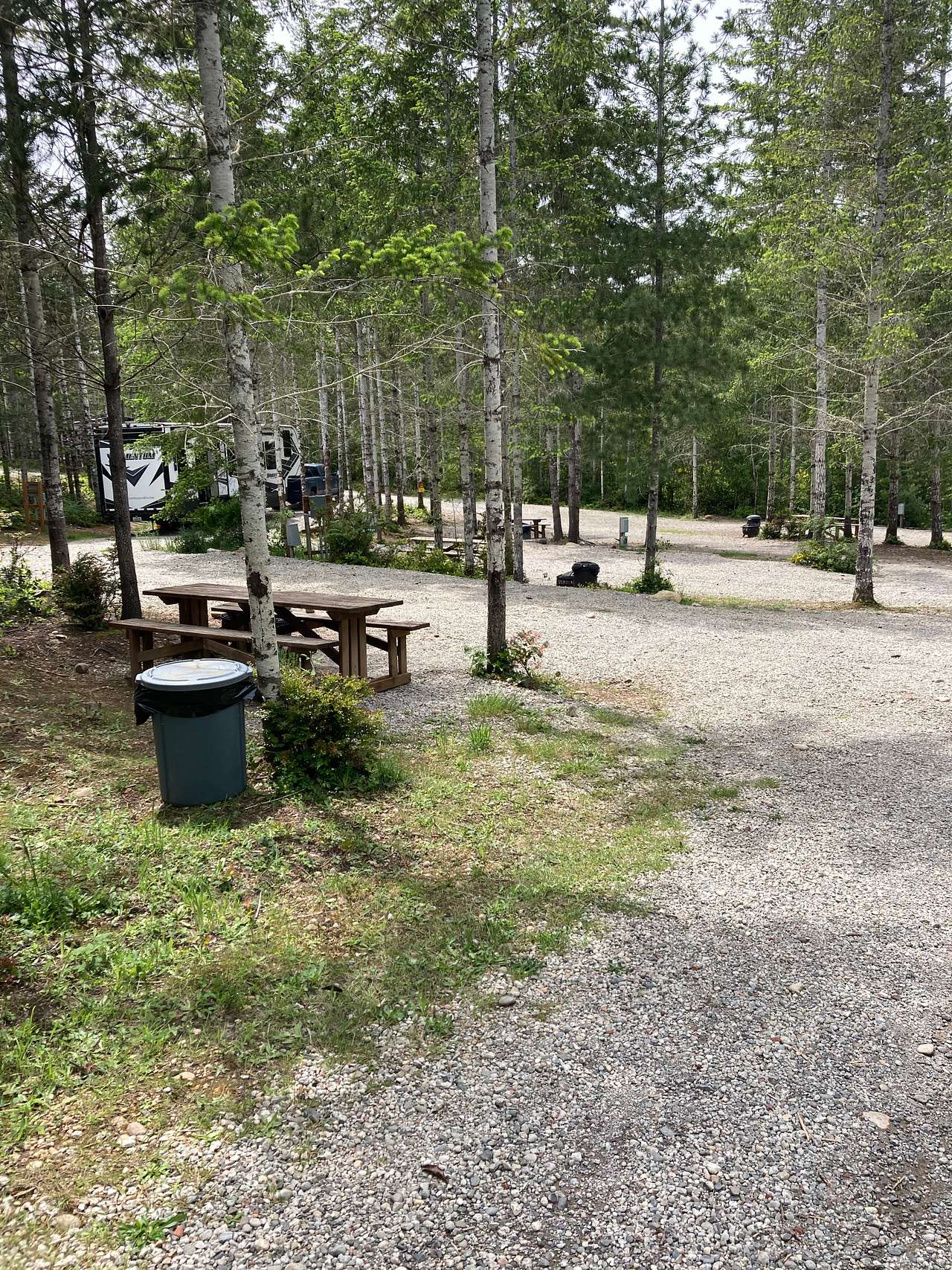 Picture of the site