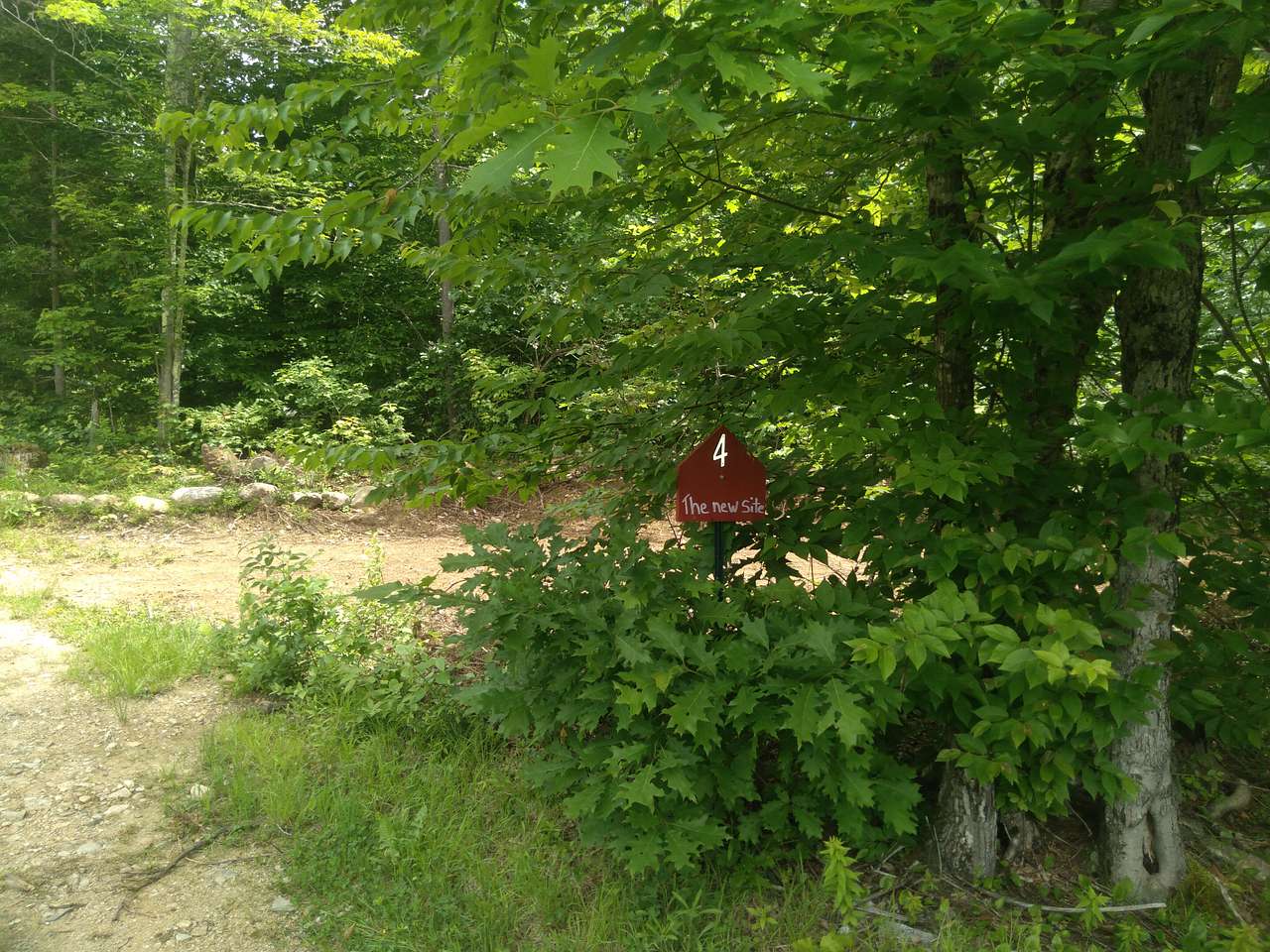 Someday Farm and Forest