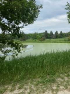 Champion Valley