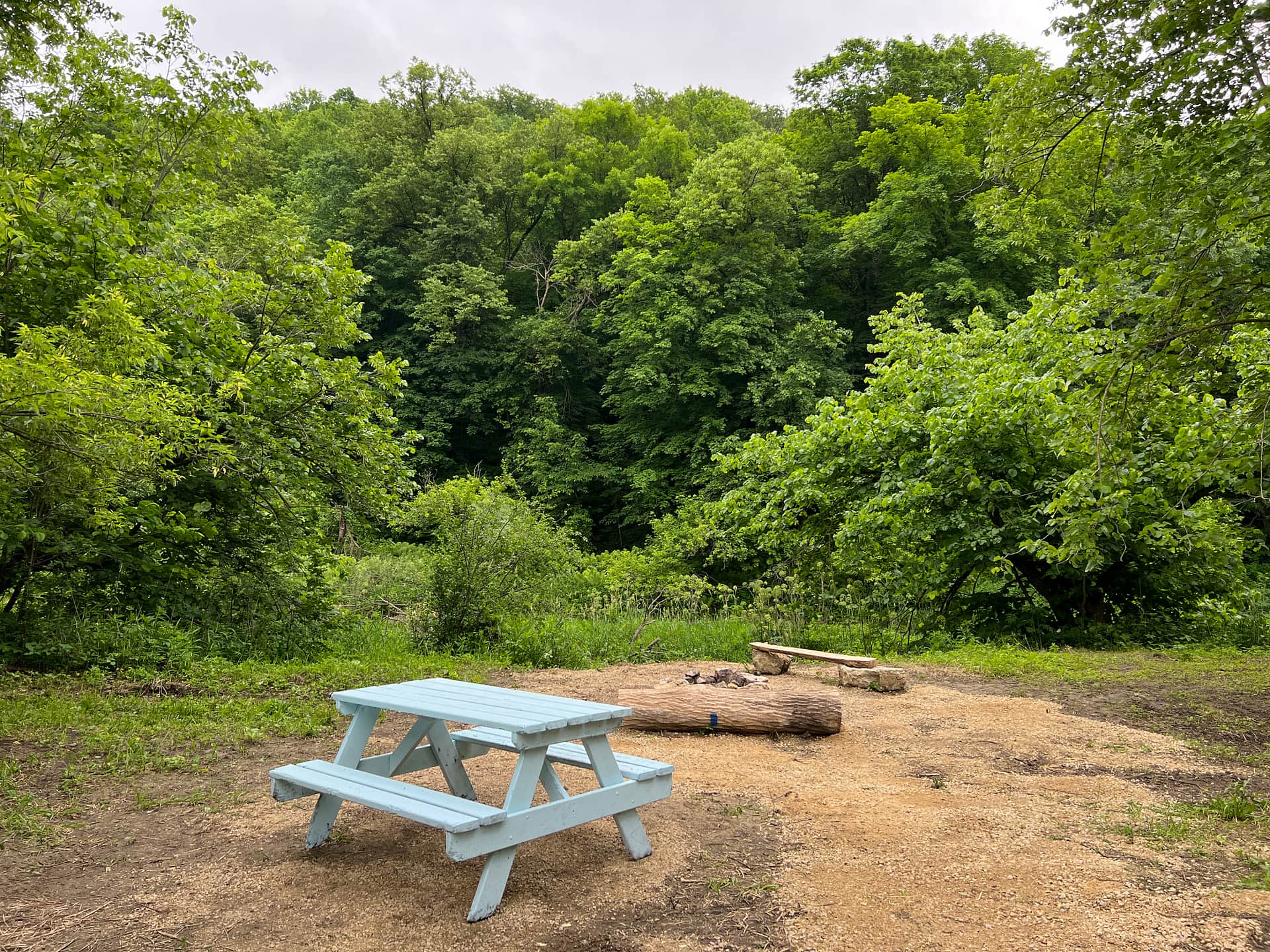 Newly added picnic table!