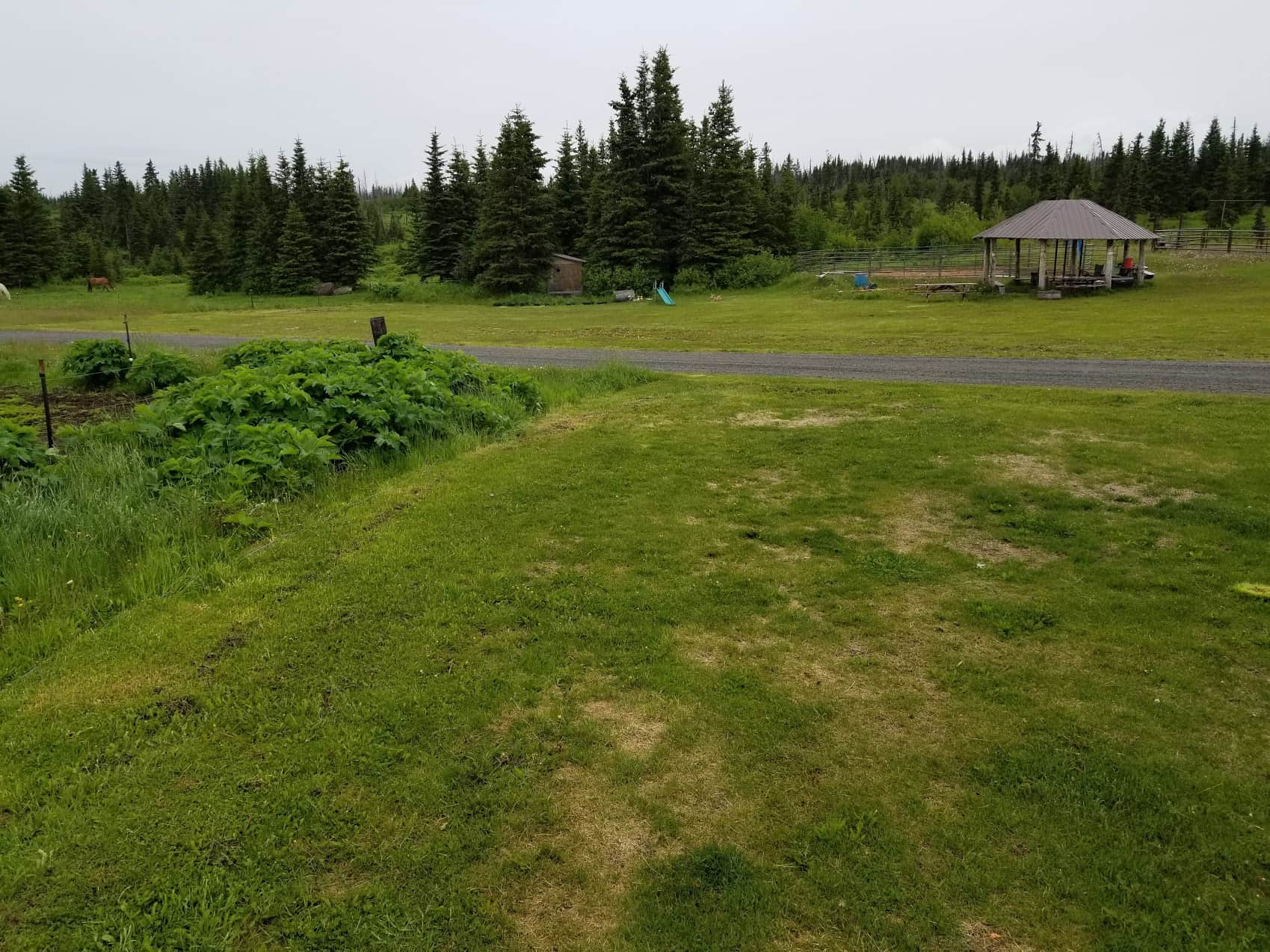 camping spaces are set up on a wide grassy area on the edge of the farm. 