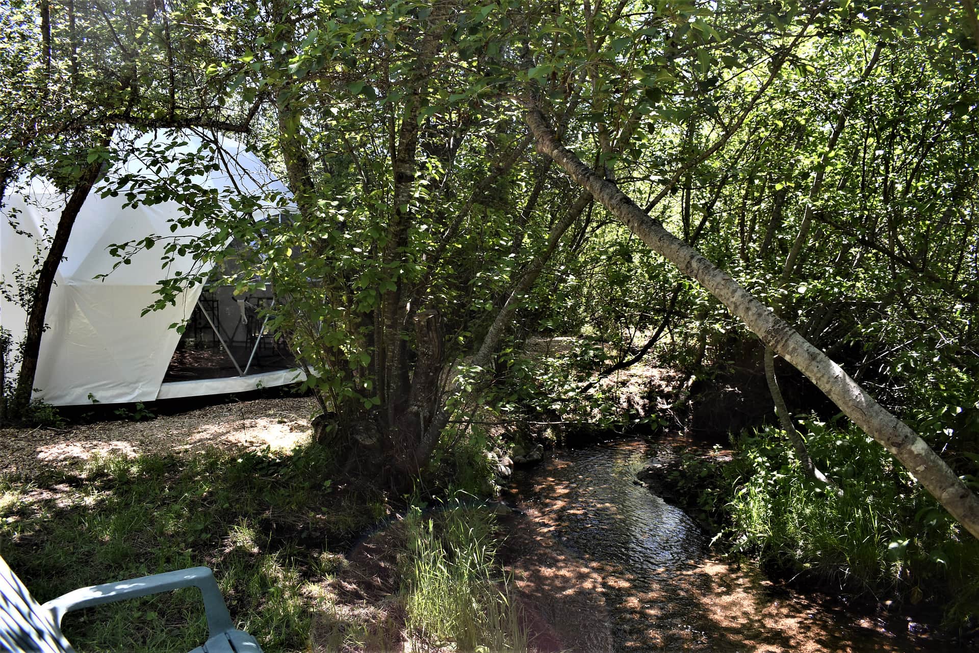 Creekside 