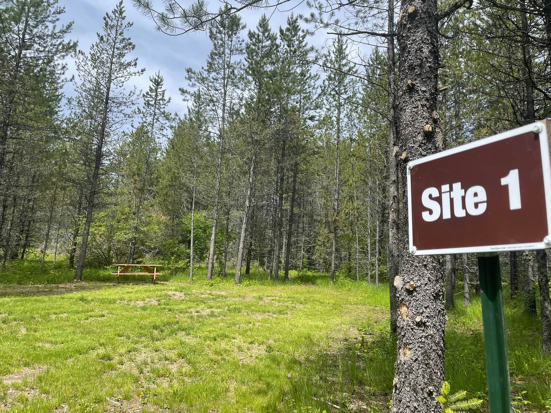 Site 1