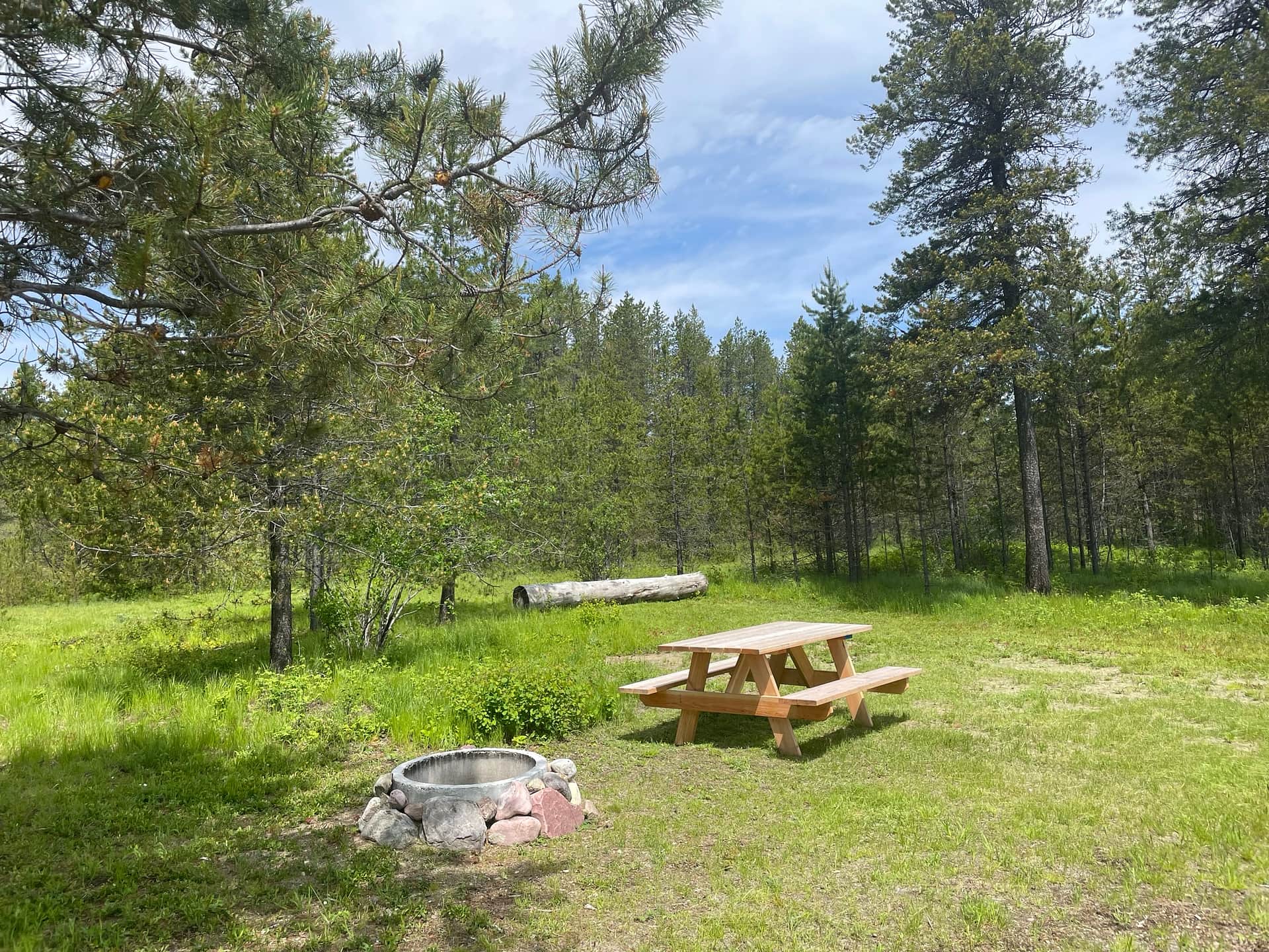 Site 4 (June)