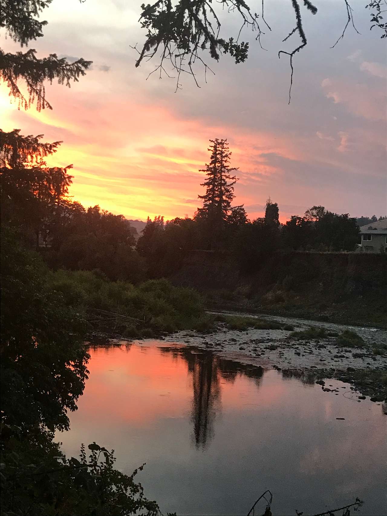 Surreal sunsets
