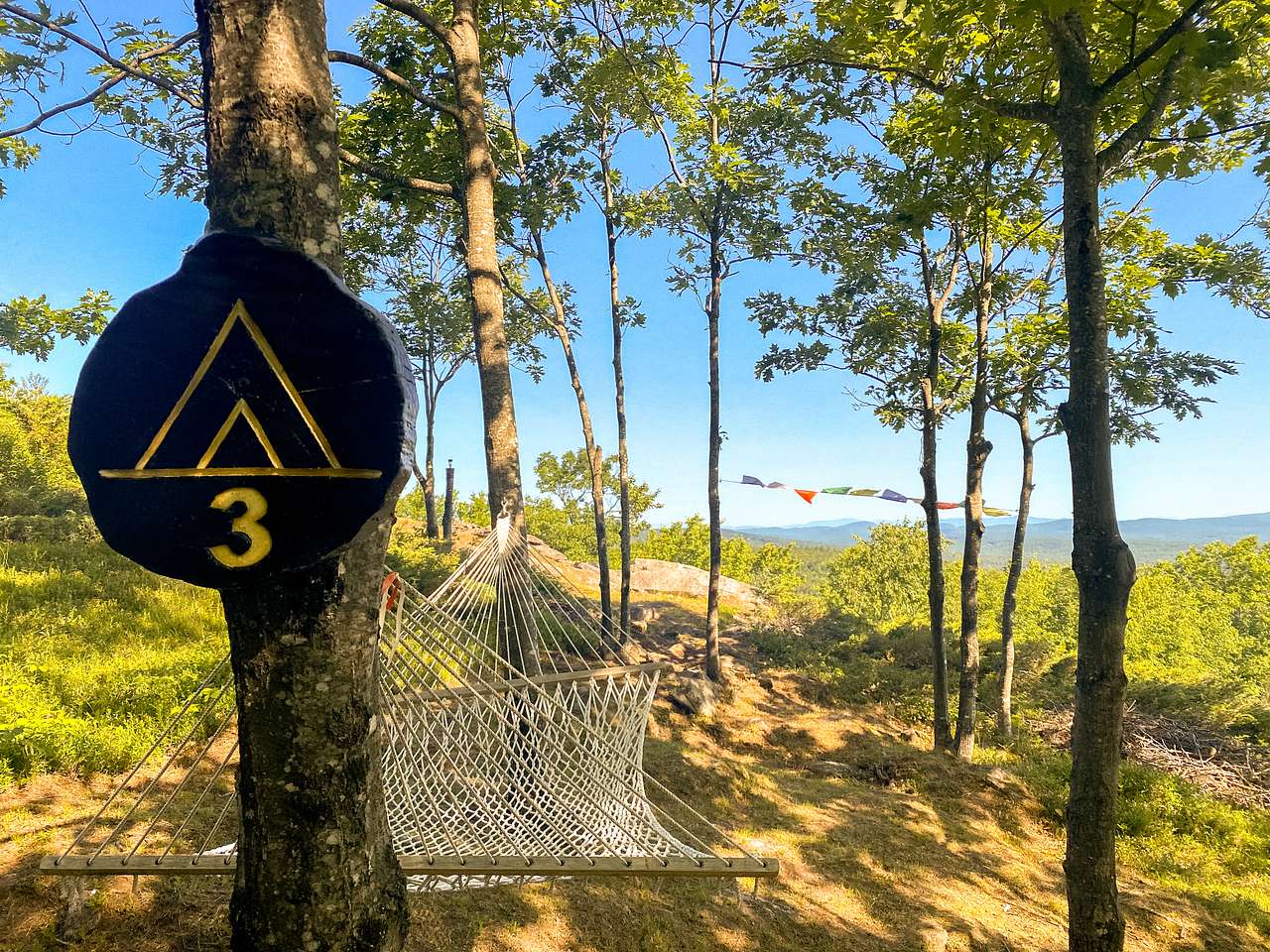 Hussey Mountain Tree Farm
