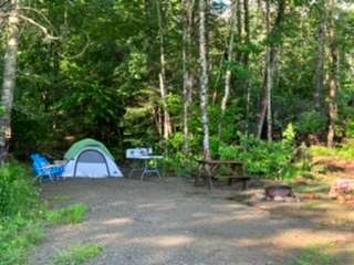 True Serendipity Homestead