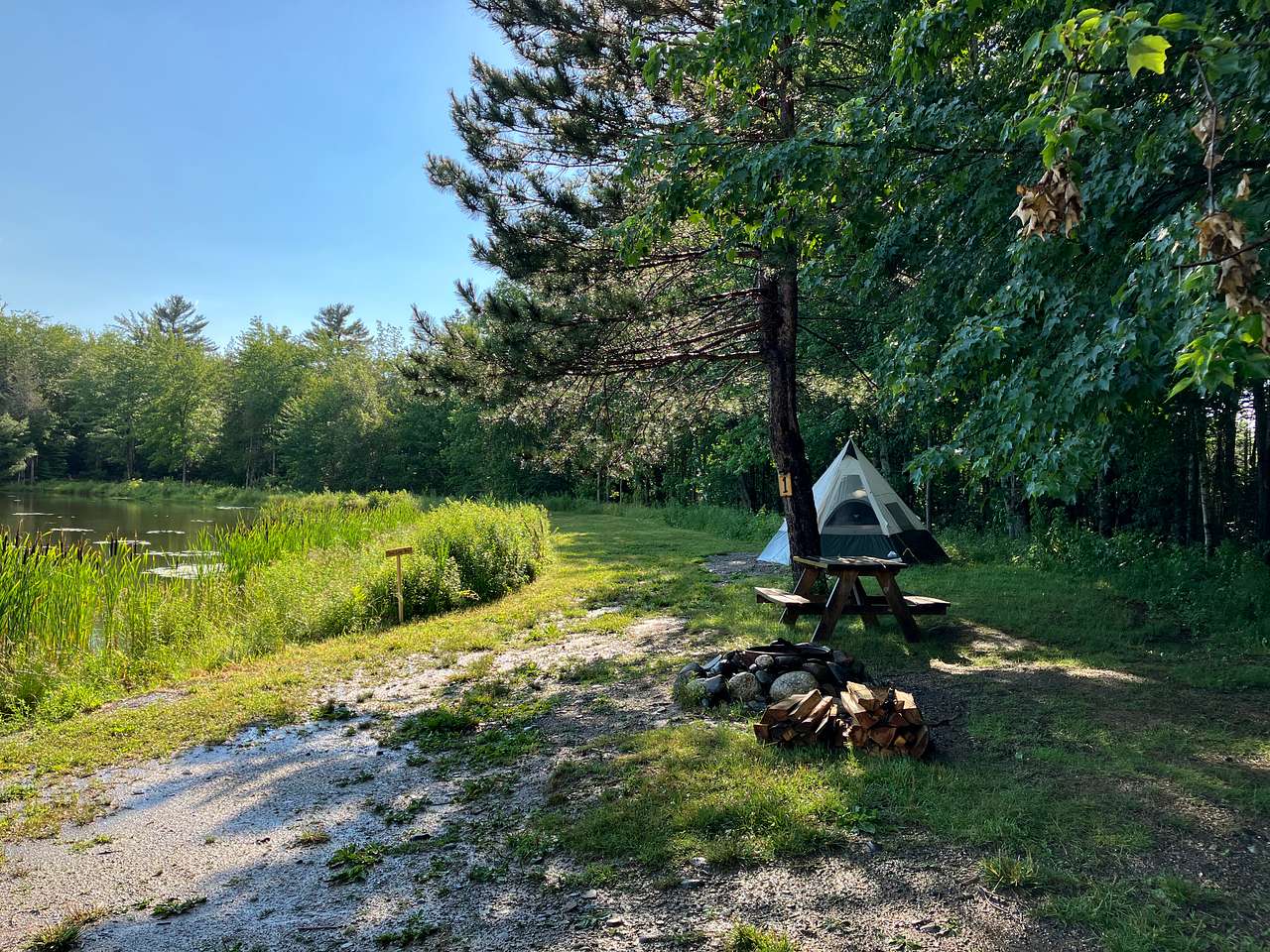 True Serendipity Homestead