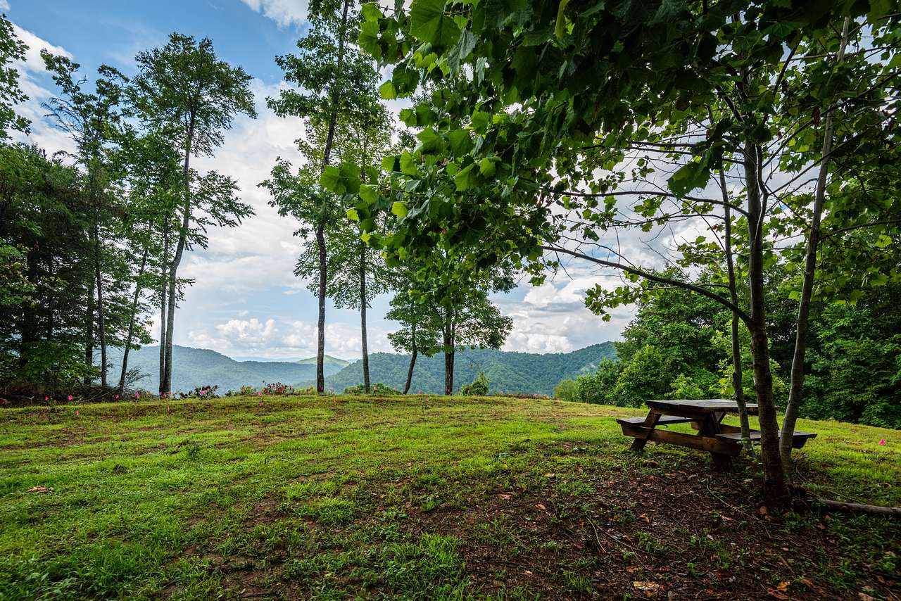 site 7 with a view