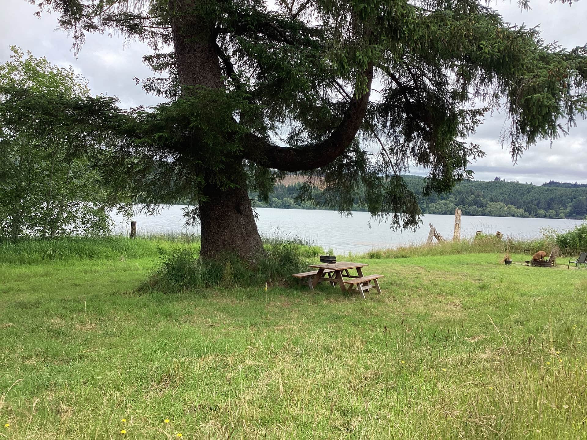This is where you will be.  We have upgrade to a free standing gas BBQ, a new patio set with cushions, and hammocks.