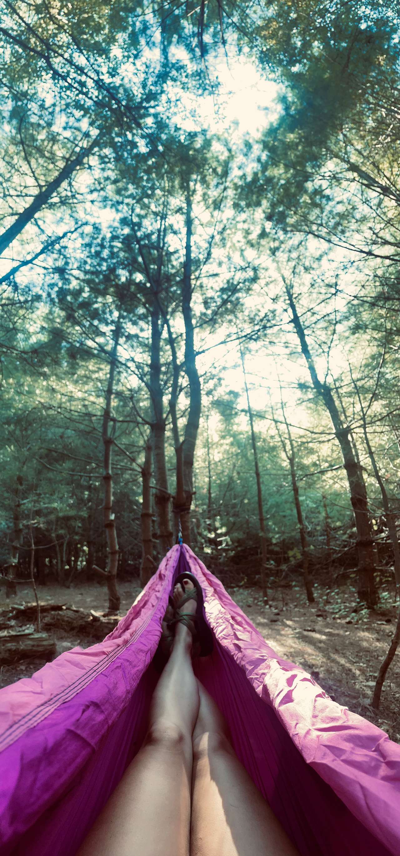 Cozy Wooded Nook