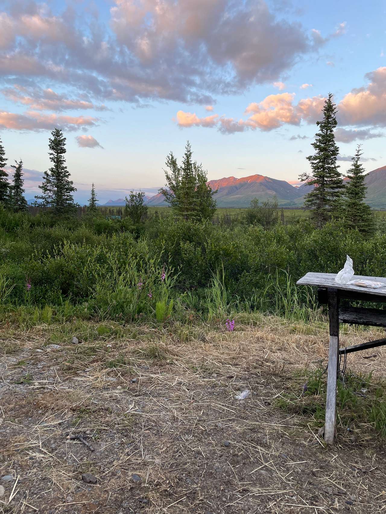 Denali's Doorstep Dry Camping Cabin