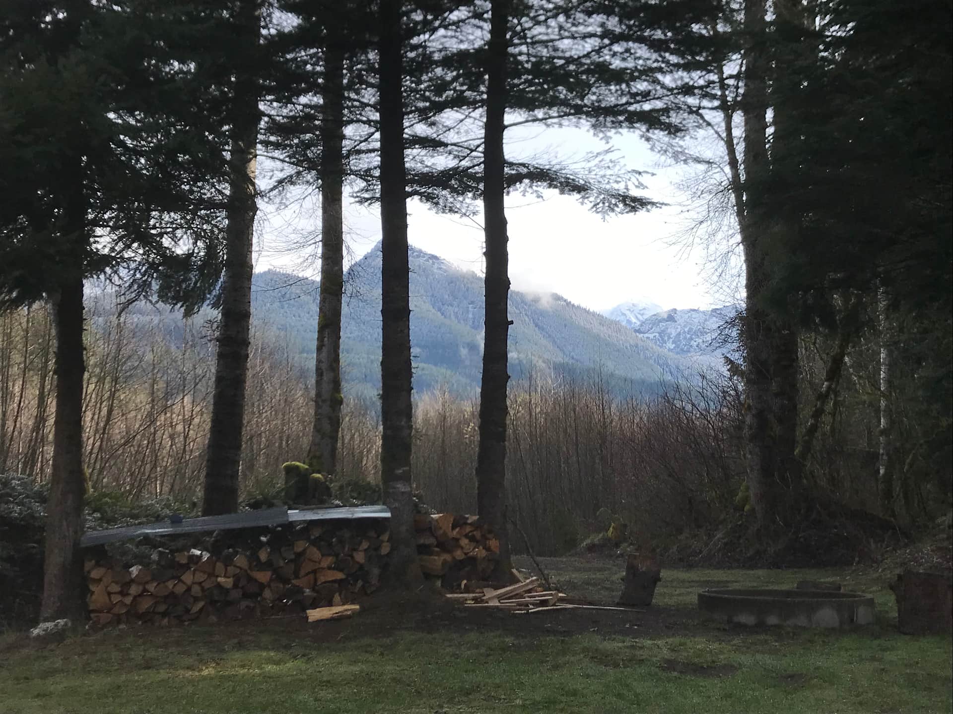 View from the fire pit. Nisqually river is just 100’ away. 