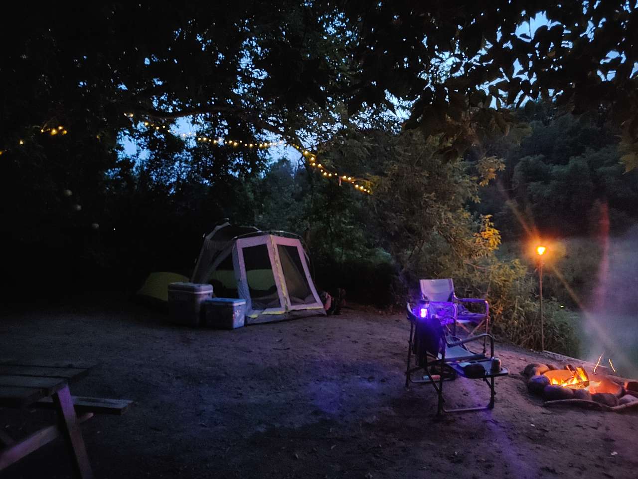 La Nation BedROCK 🤘 🏕️🔥🌲