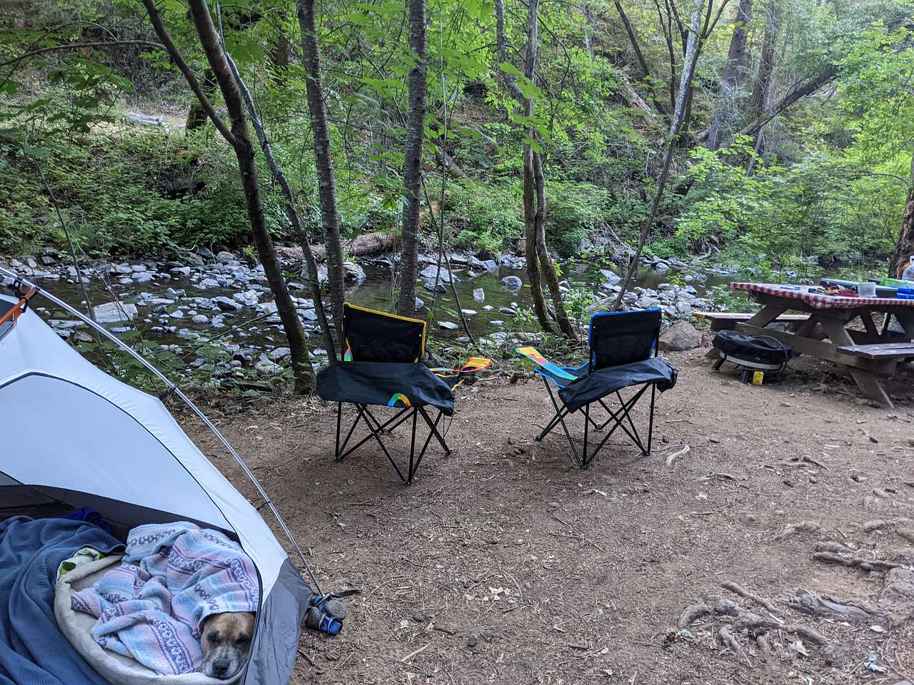 Camp Nauvoo