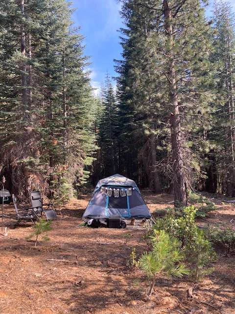 Level camping for your tent or vehicle in Site 2 Sugar Flats 