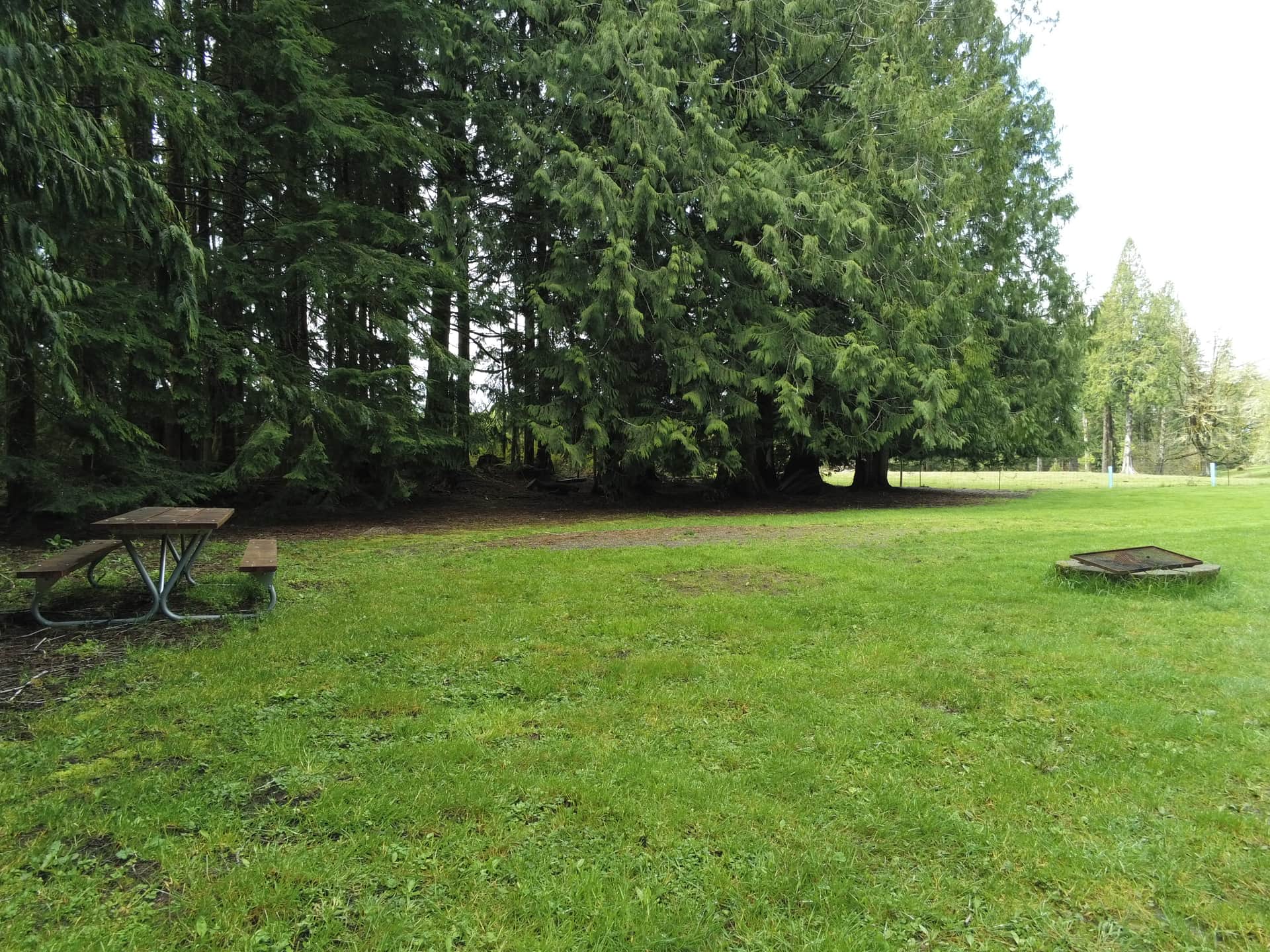 In site, looking west towards neighbor's pasture
