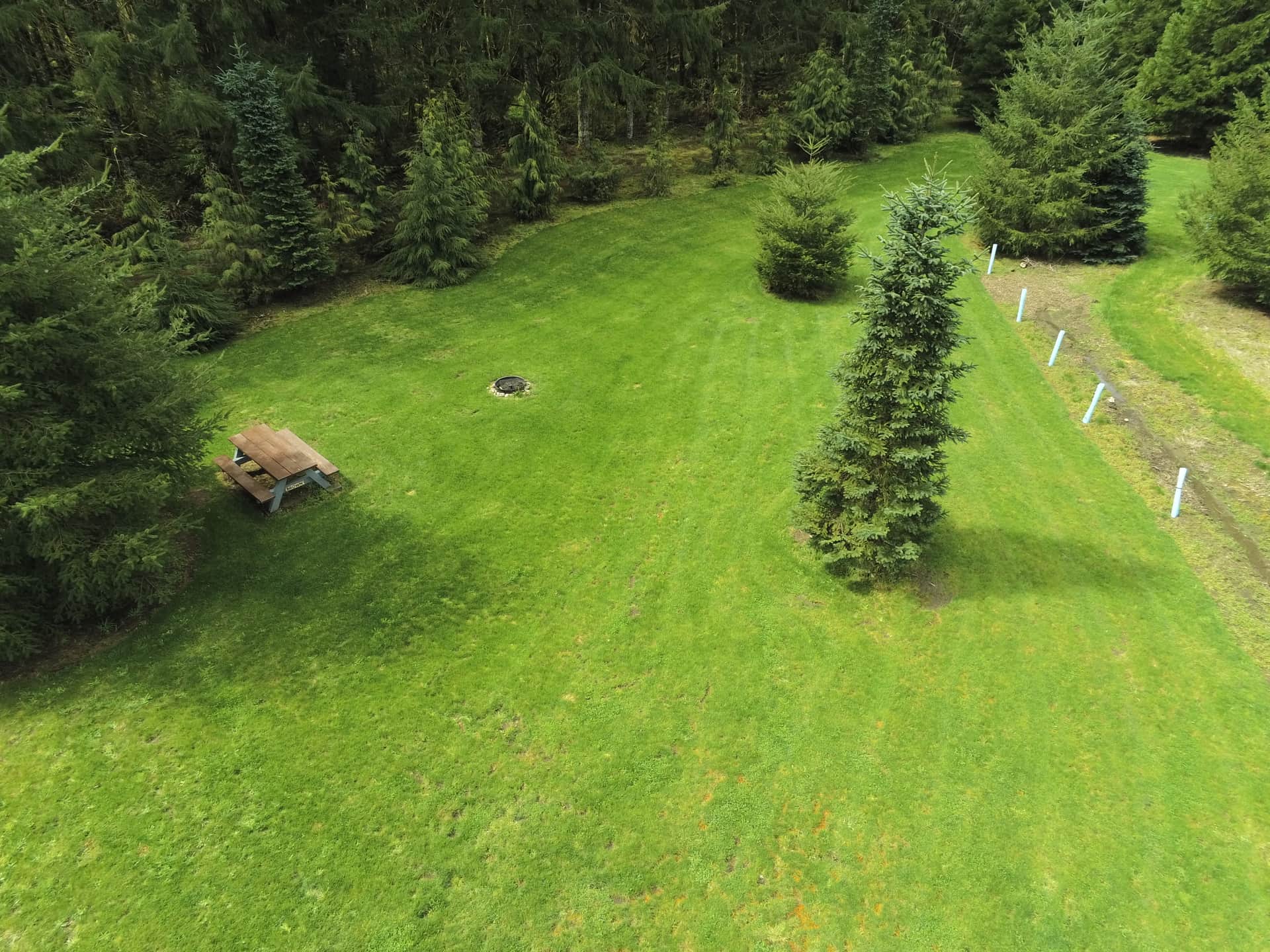 Drone view looking West across the Brown site into the Cedars and Redwoods.