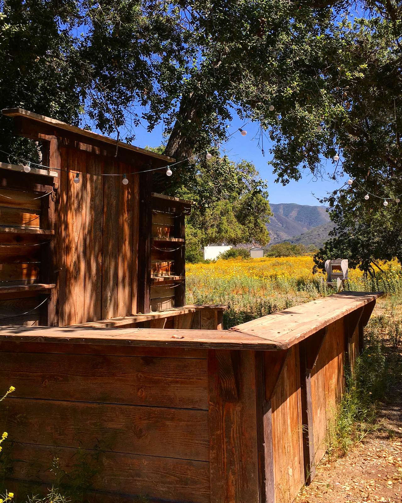 The Ranch