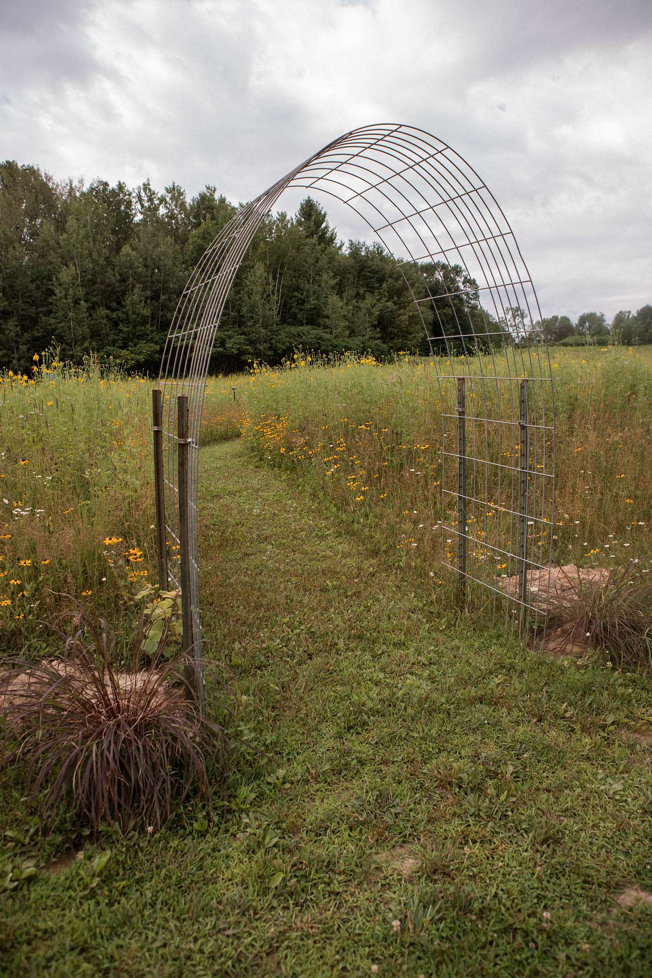 There are a few trails to enjoy walking around the property through the vast fields of wildflowers!