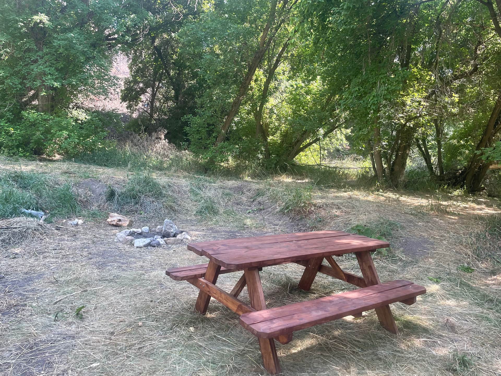 Site 4
