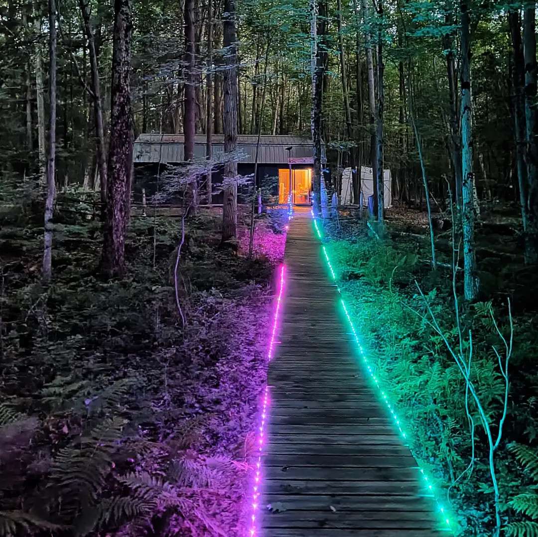 The Crow’s Nest Forest Camp