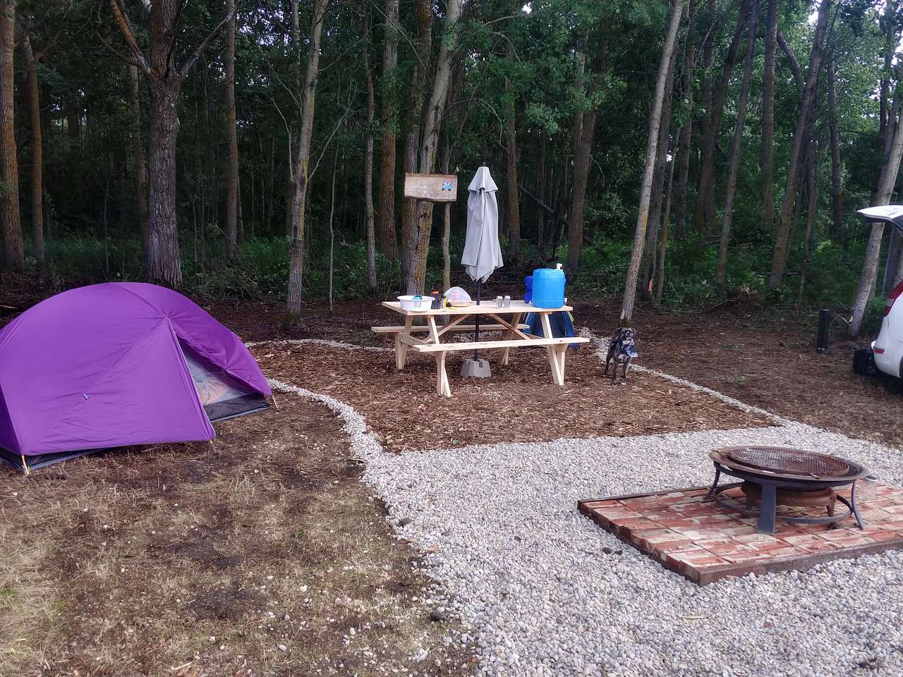 Picture of the site
