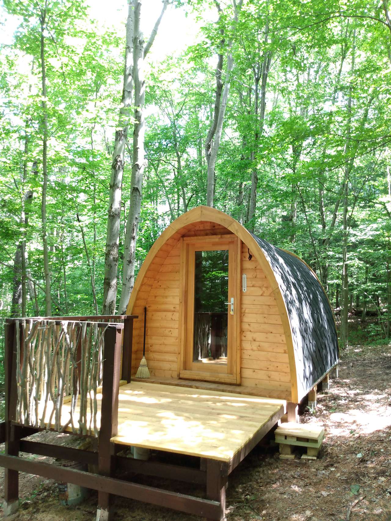 Camp Earth Connection