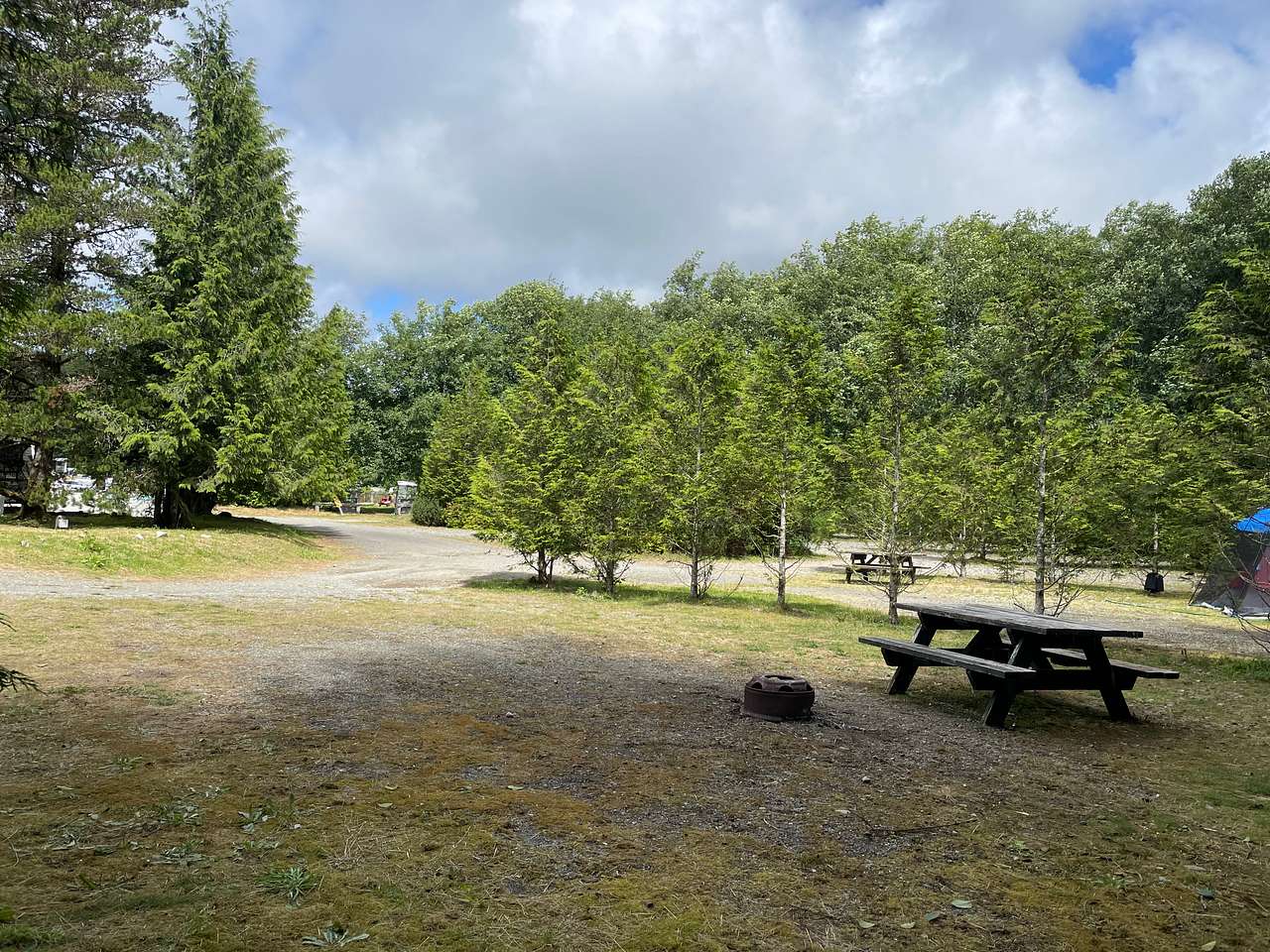 Site 7