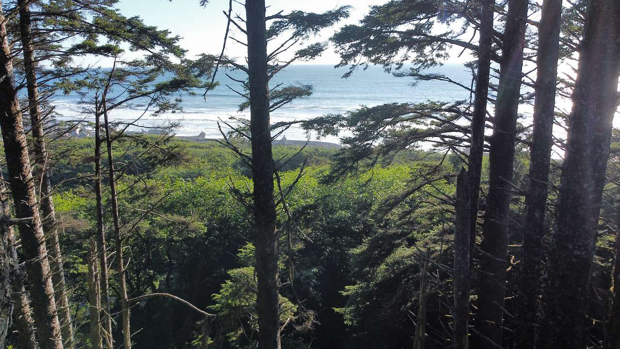 Aliya Preserve—WA Coast Eco-Retreat