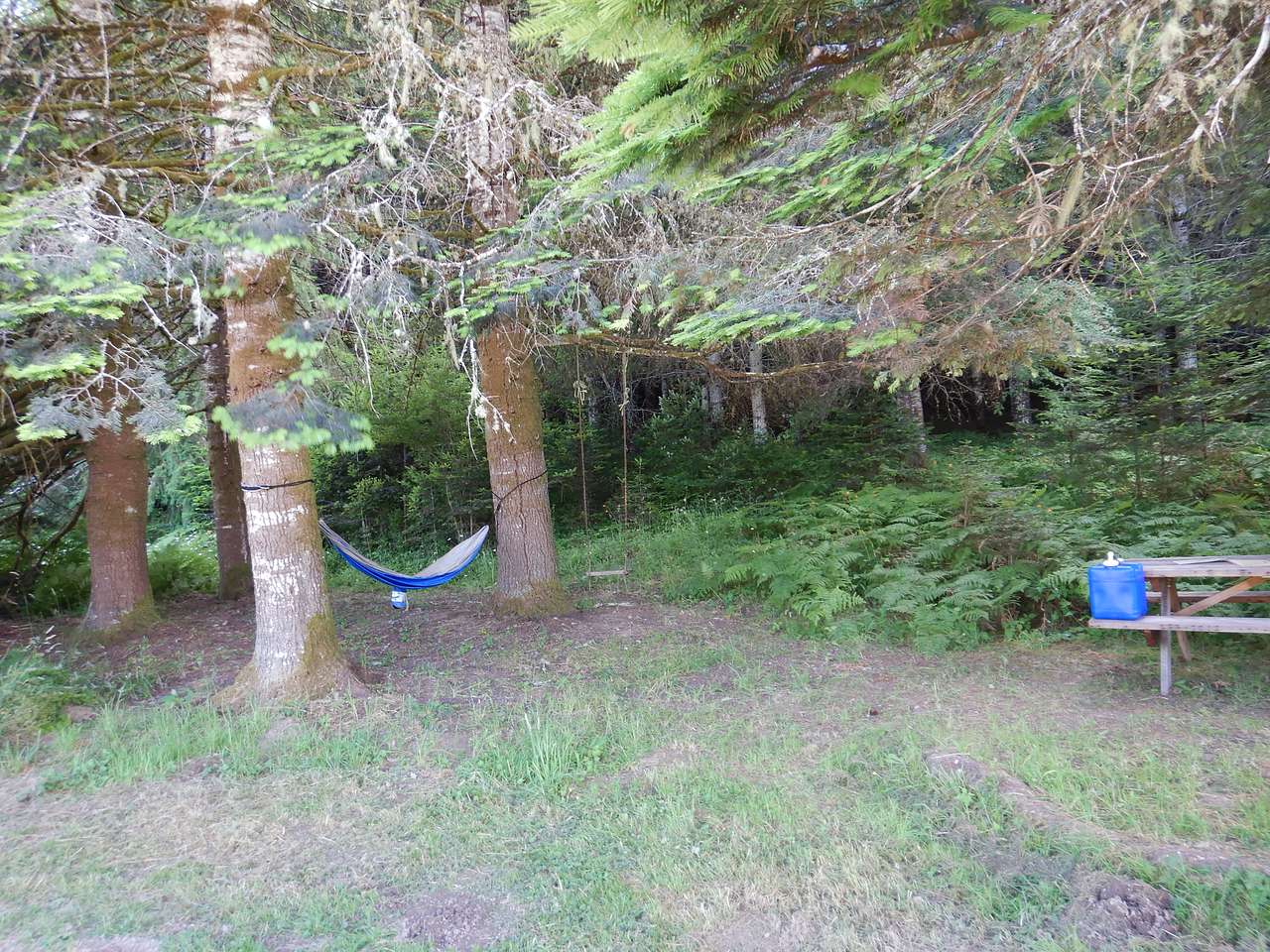 Site 5 is really big - here is a part of it.