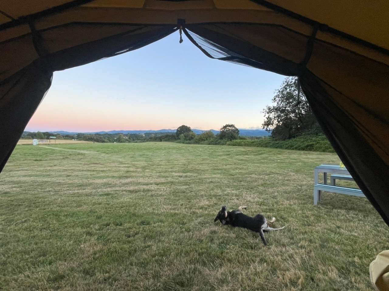 Picture of the site