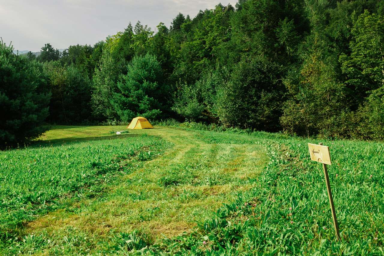 Another tent site in the meadow.
