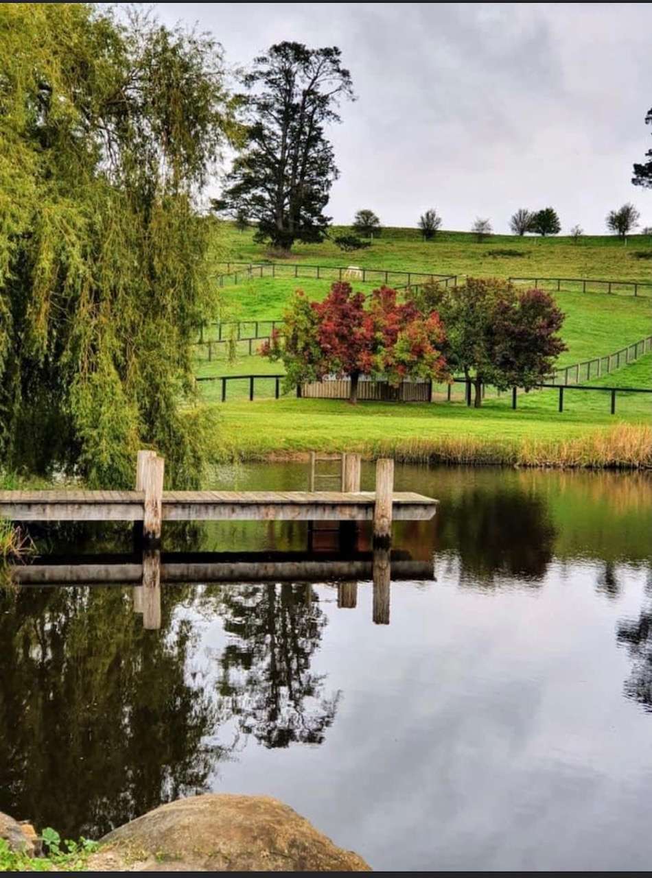 Sutton Farm Equestrian Centre
