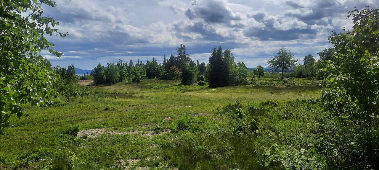 The Maine Land