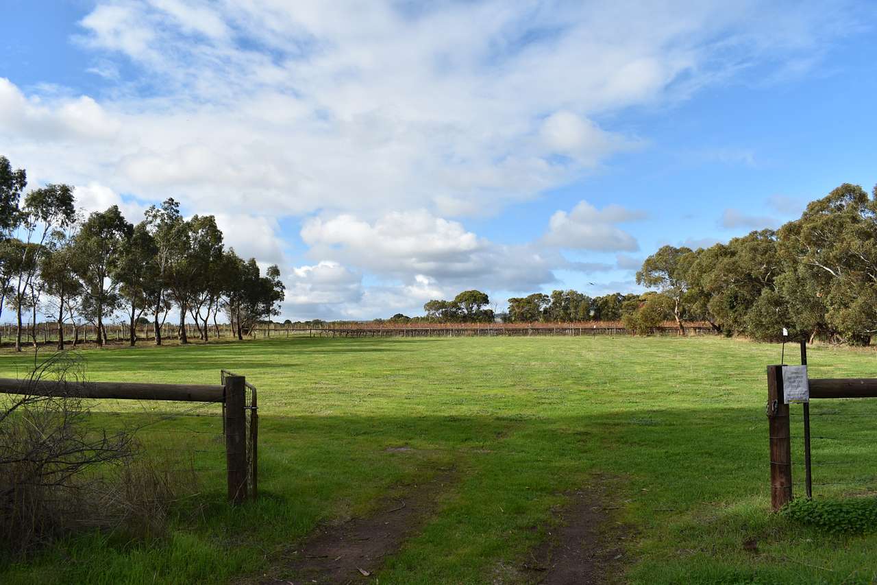 Northern cap site