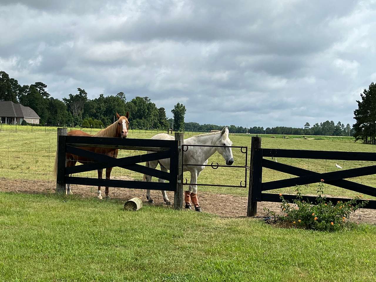 Relax at The Horse Barn