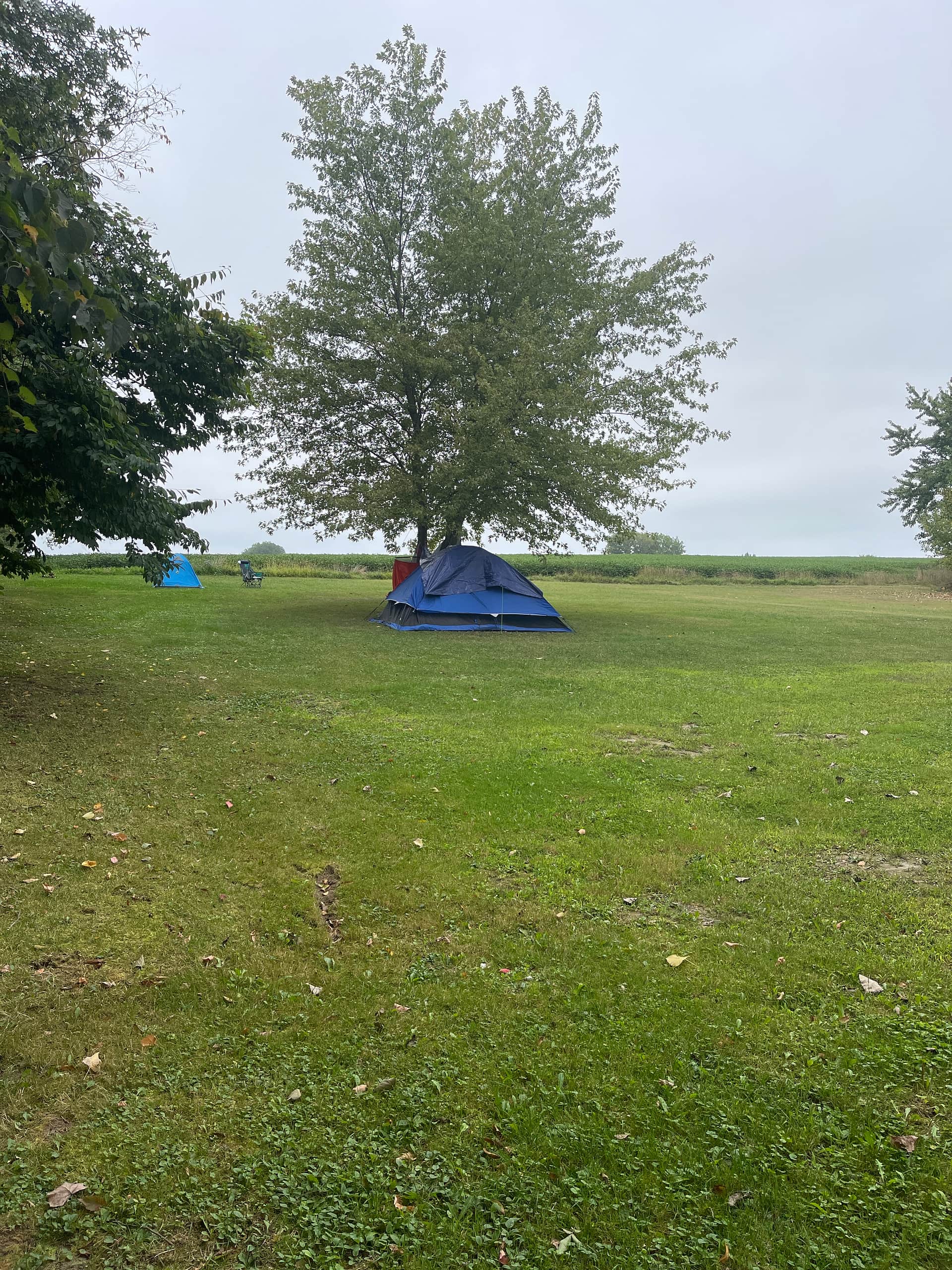 Camping behind the barn available