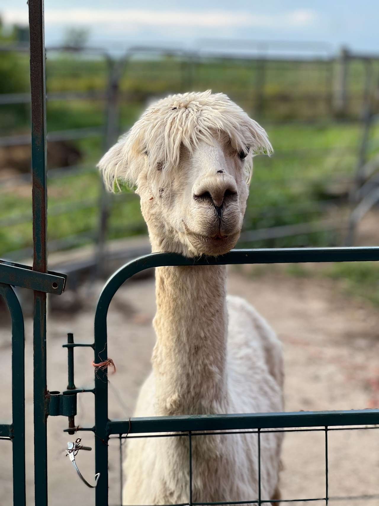 Heritage Farm Stay Adventure