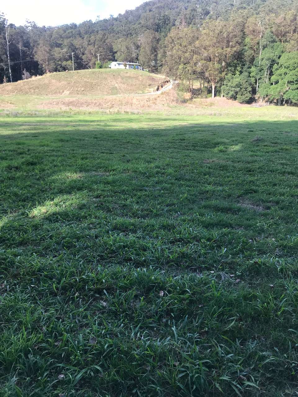 Crystal Creek Springs