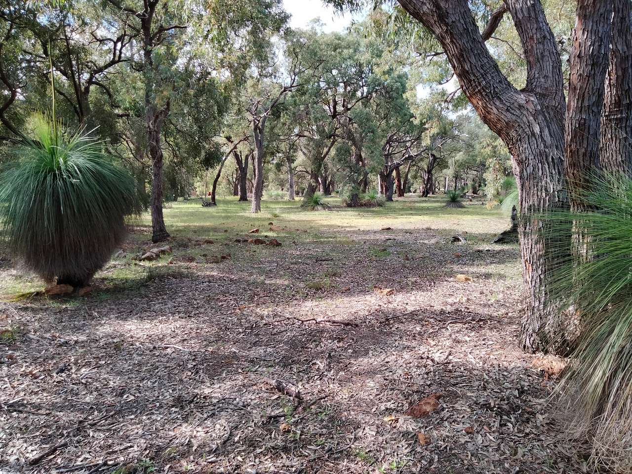 The entrance to Horse Paddock camp