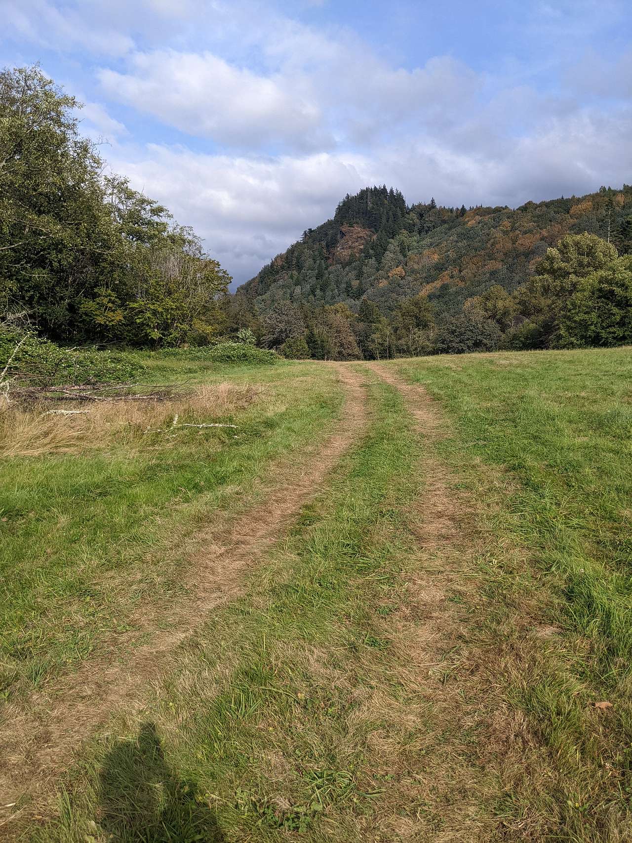 The road up to the field can be a bit hard to spot from the paved road. 