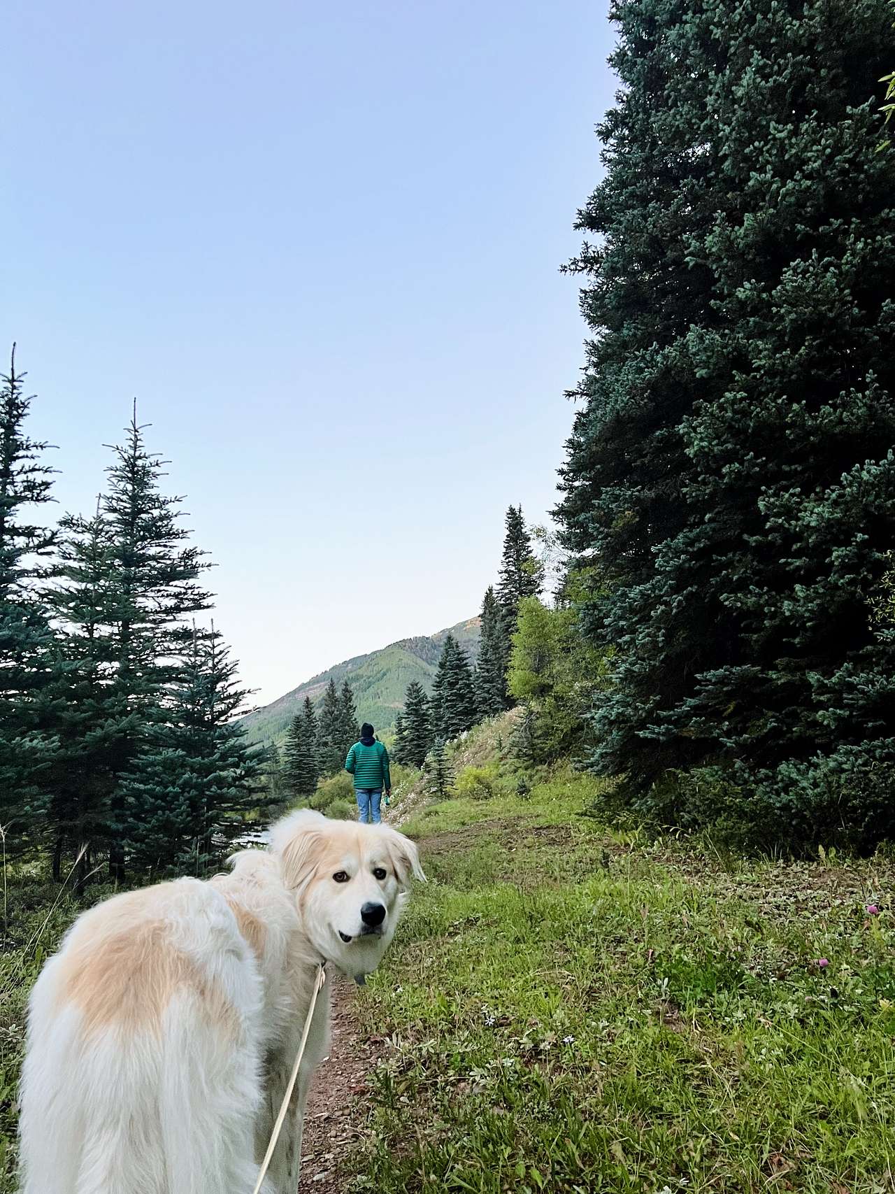 Lazy Rooster Ranch