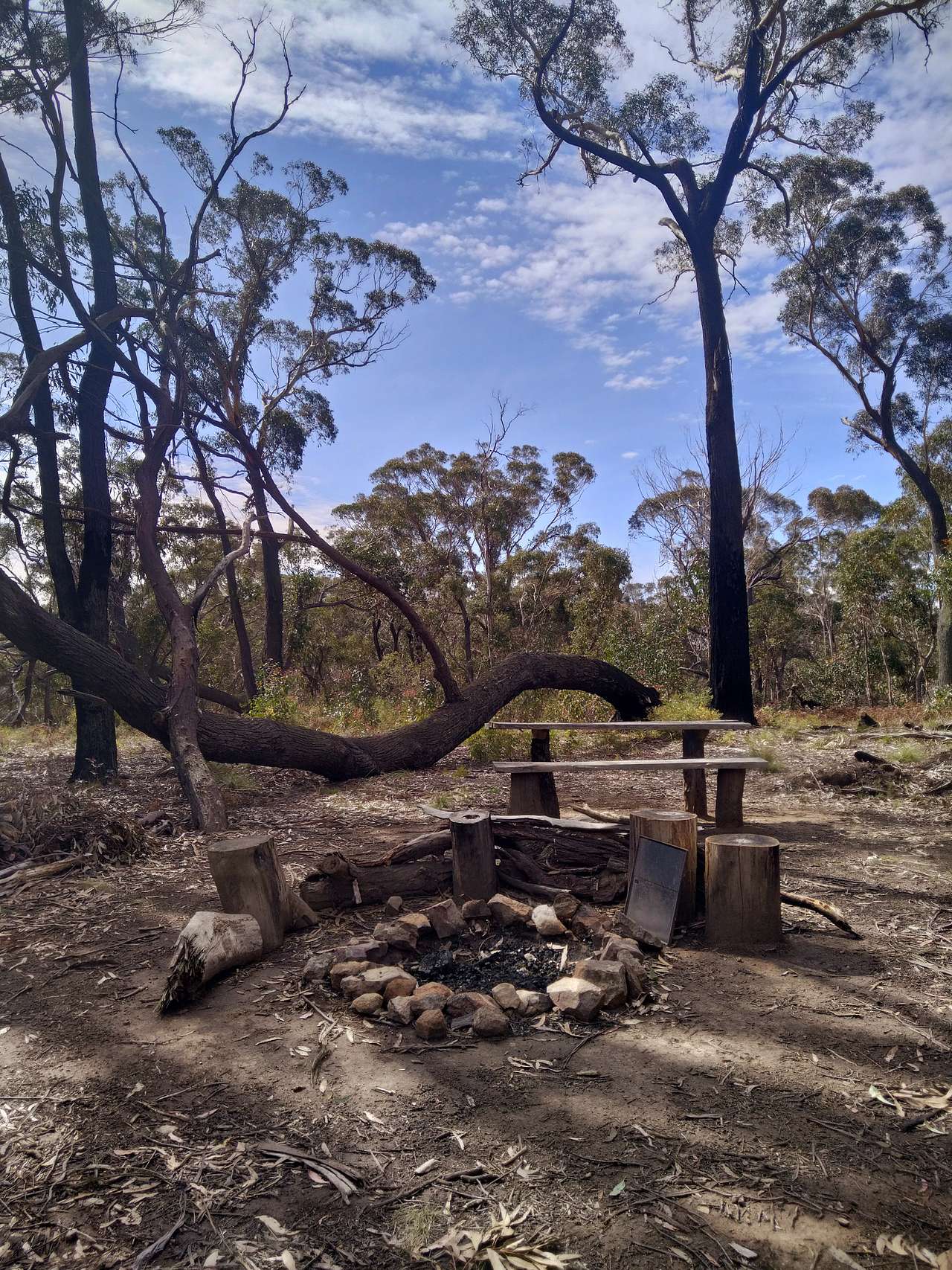 Handhewn picnic table and seat  [chainsaw milled from fallen trees on the property] at the stone fire circle with rainbow tree behind.