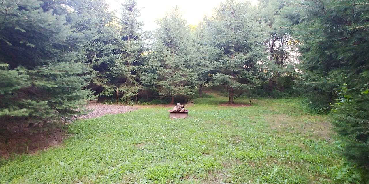 Private site surrounded by beautiful spruce trees. 